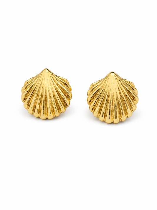 Brinco Concha Folheado a Ouro 18k