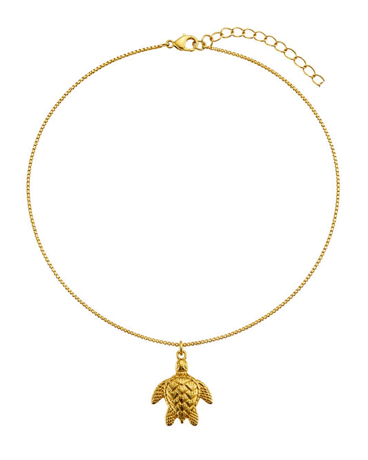 Colar Tartaruga Folheado a Ouro 18k