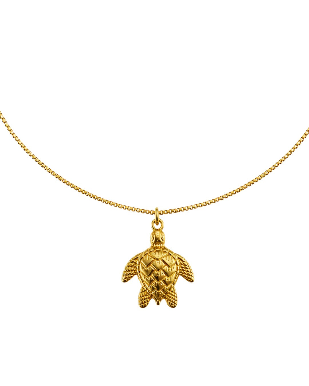 Colar Tartaruga Folheado a Ouro 18k
